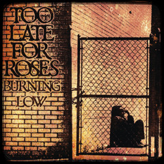 Burning Low - Too Late For Roses