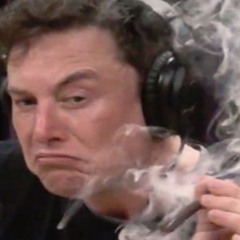 ELON MU$K [prod. By Verzae]