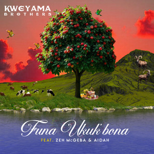 Funa Ukuk'bona (feat. Zeh McGeba & Aidah)