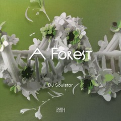 DJ Soulstar - A Forest