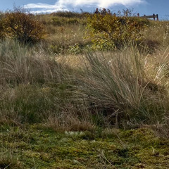 FR Overdub No.2 - Herfst