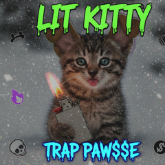 i love winter(trap paw$$e)