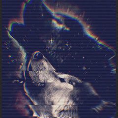 My Torn Soul(🐺1989)