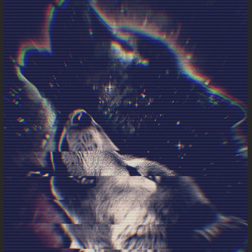 My Torn Soul(🐺1989)