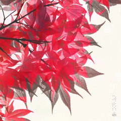 Kazuki Isogai & yuhei miura - River Flow
