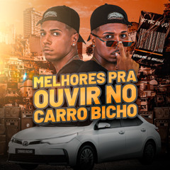MELHORES PRA OUVIR NO CARRO BICHO ( DJ PR DA CAIXA D'ÁGUA )
