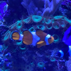 i didn’t know I was so home sick