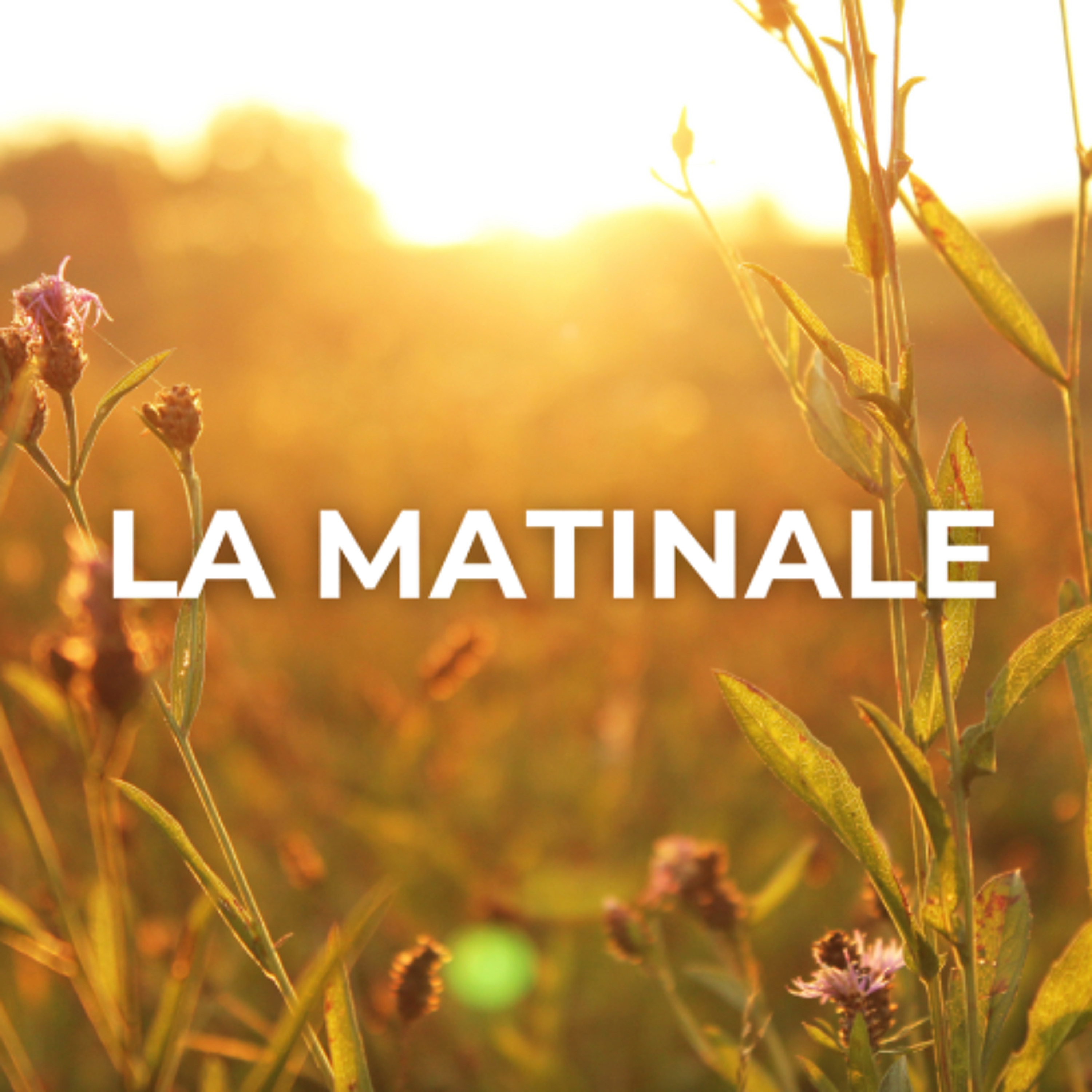 20251016-lamatinale episode artwork