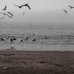 Tamhilahzuur- SETO -Evderhii hun