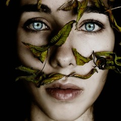 Beautiful Stranger