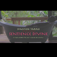 Amani - Peace and Tranqulity Sound Cloud Demo