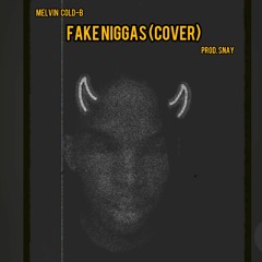 FAKE N*GGAS COVER prod.Snay .mp3