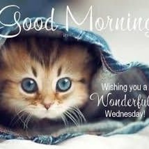 Close Up Closed Up (dexter)