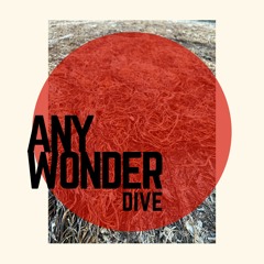 Any Wonder - Dive