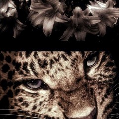 Draytookova/mind(selfprod)