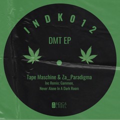 [PREMIERE] Tape Maschine & Za__Paradigma - DMT (Never Alone In A Dark Room Remix) [Indica Label]