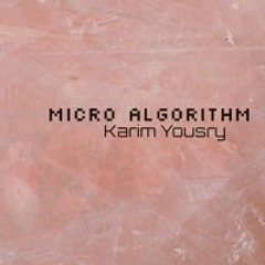 Micro Algorithm #2