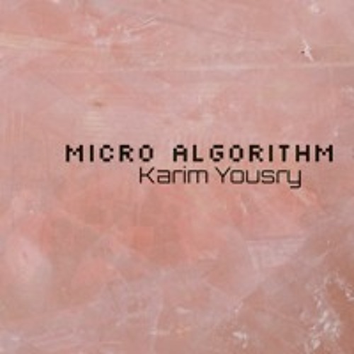 Micro Algorithm #2