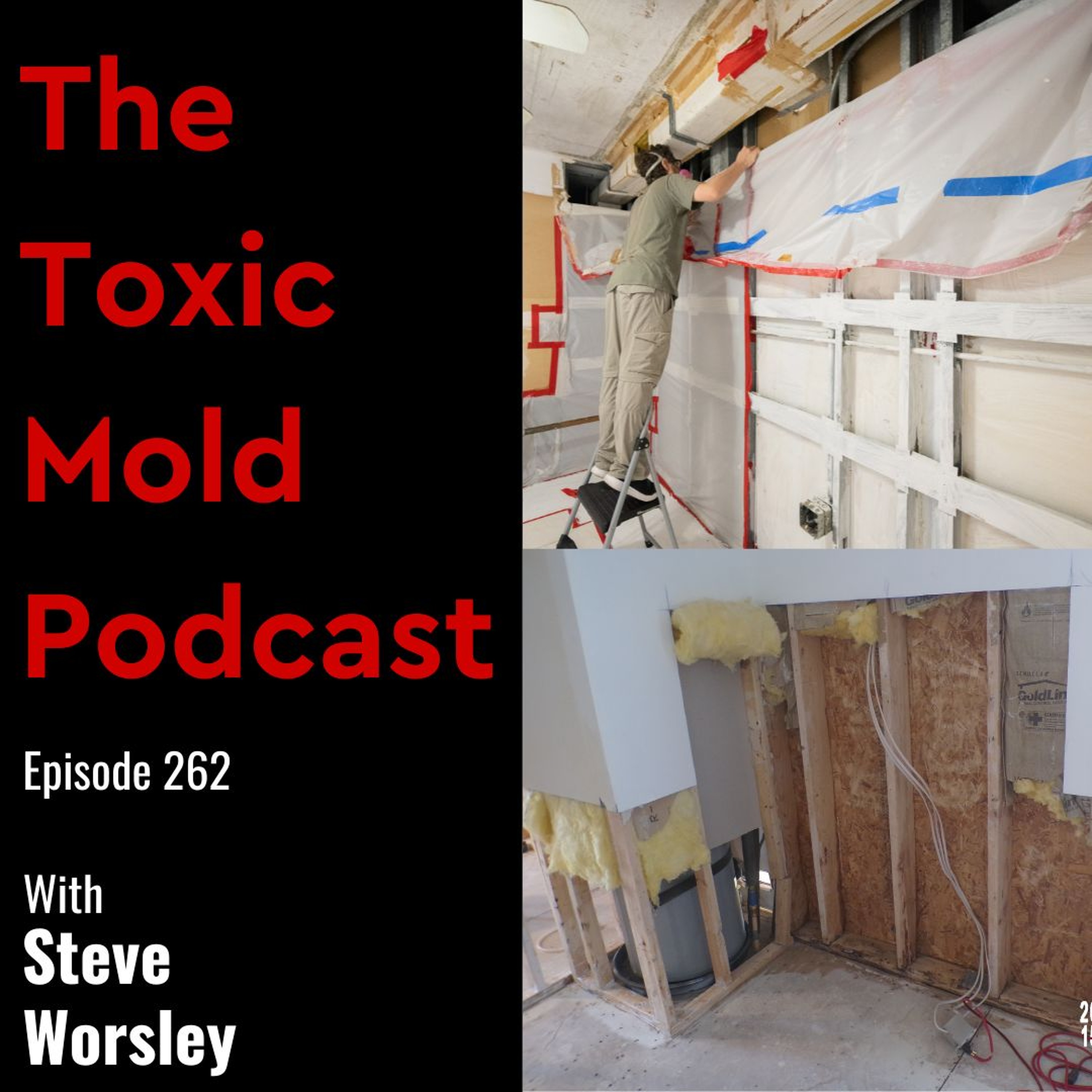 The Toxic Mold Podcast