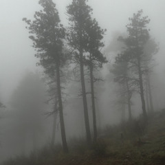 MURKY