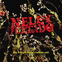 Nelly Furtado - Say It Right (Planet Caravan Edit)