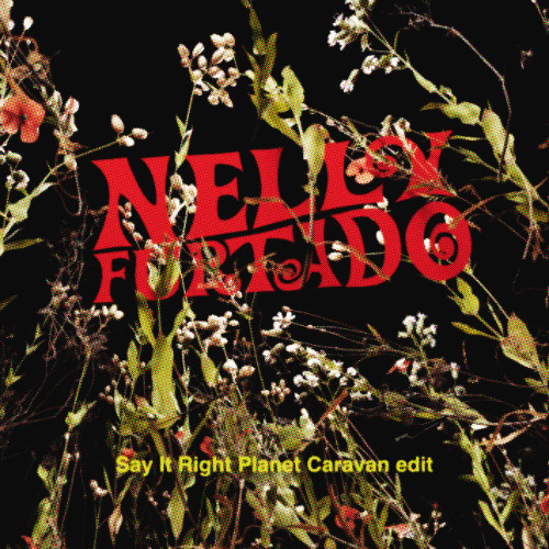 Nelly Furtado - Say It Right (Planet Caravan Edit)