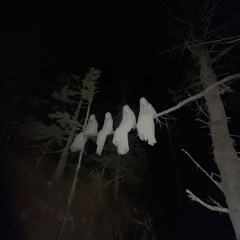 Soryn - taste like dirt (ghost bootleg)