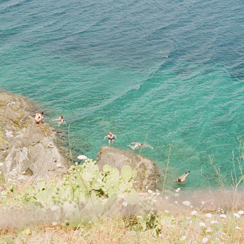 Image Search - Summer Day Mix 050625
