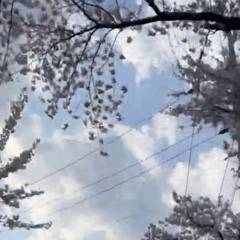 nerdy love - 신광일