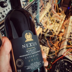 Merlot __Robert  Babicz