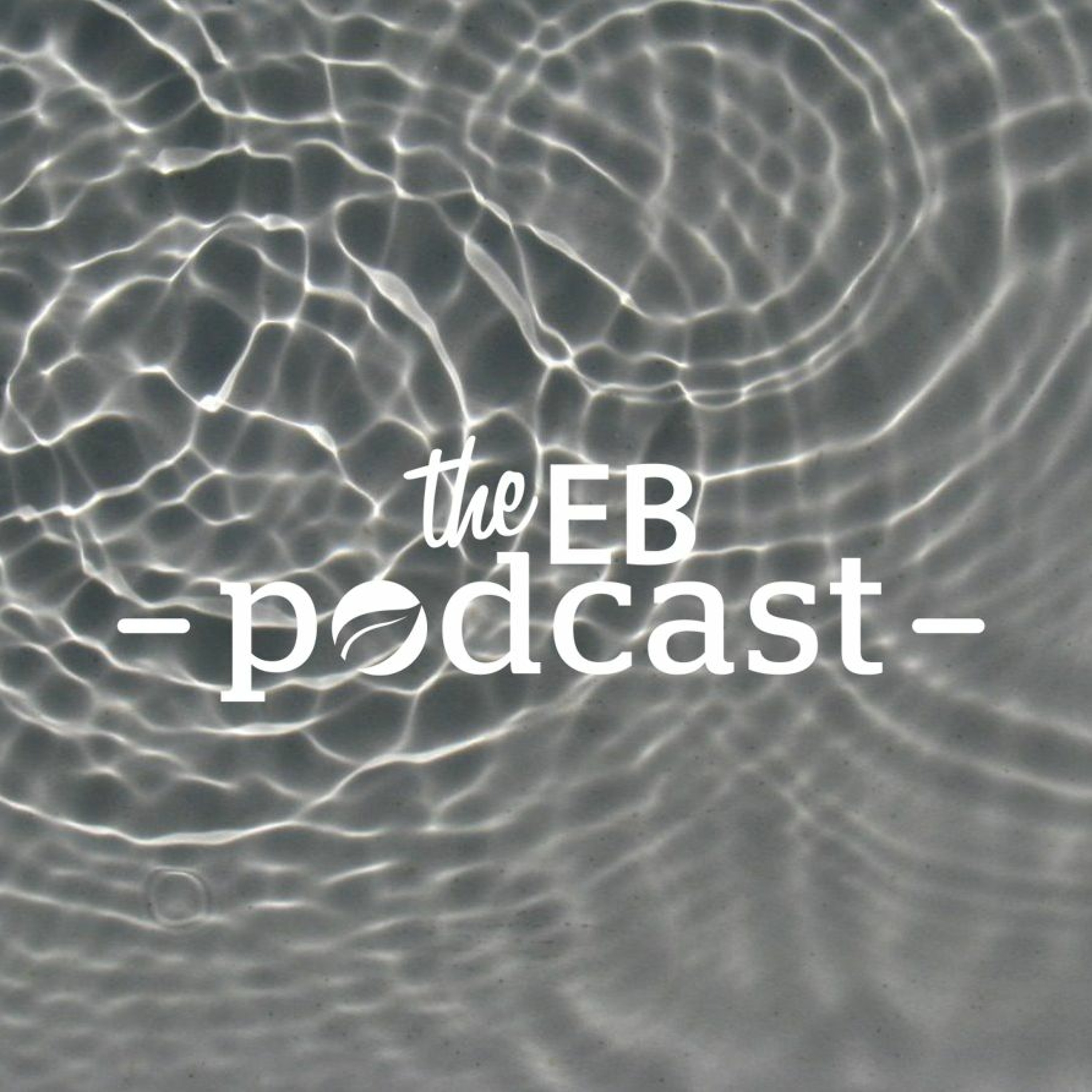 Episode Logo