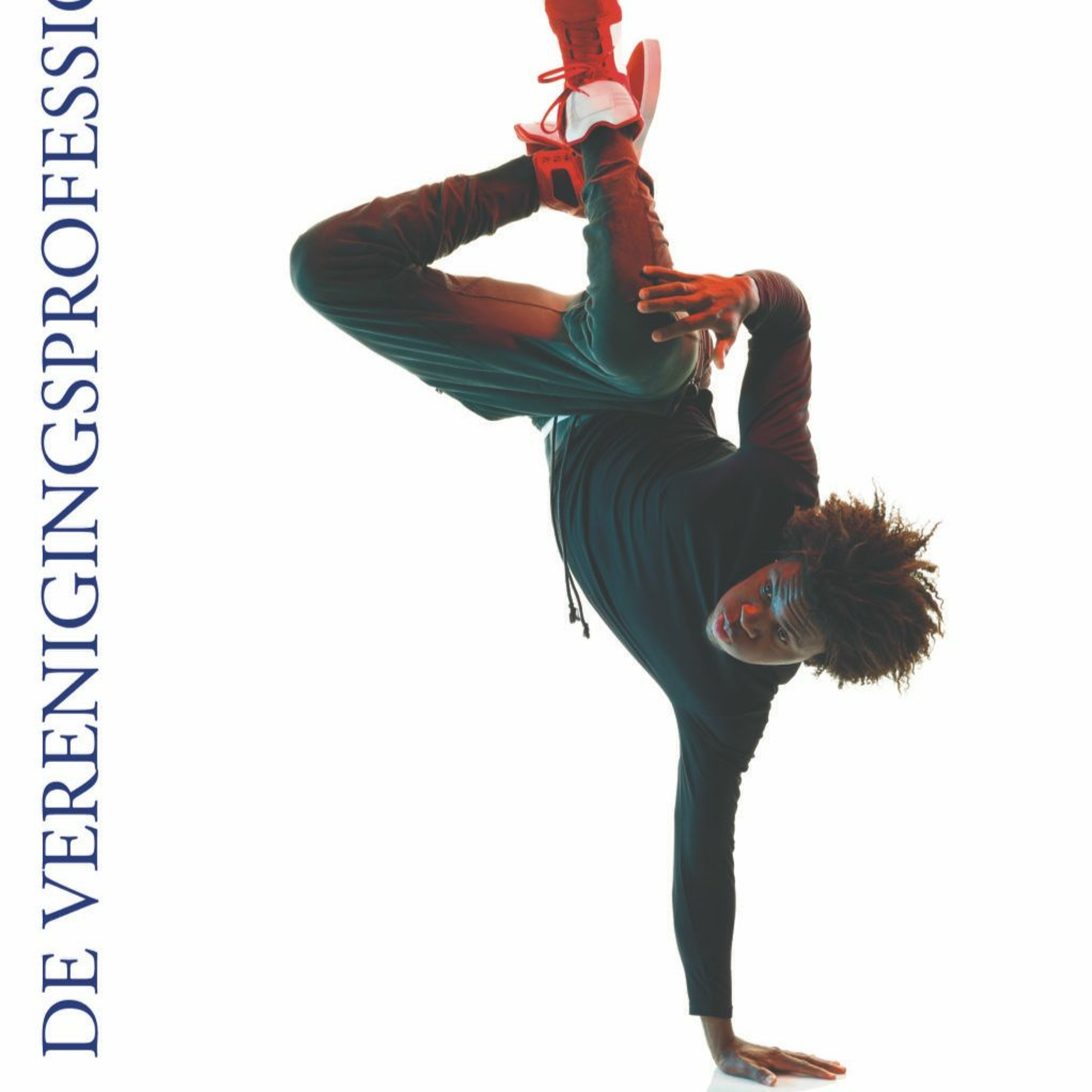 VP de Verenigingsprofessional