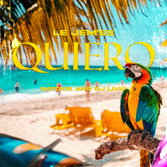 QUIERO ( ft NATOXIE & DJ LIVIO )
