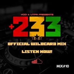 +233 WILDCARD MIX ENTRY 10