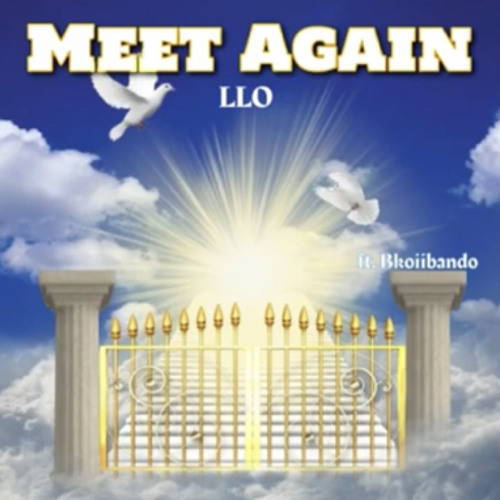 Meet Again (feat. Bkoiibando)