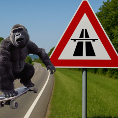Skateboard Champion