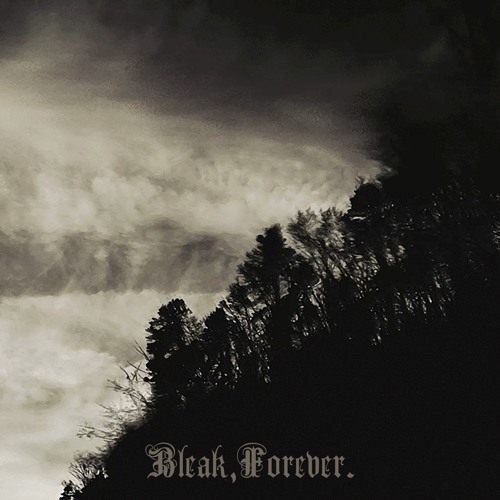 Bleak,Forever.