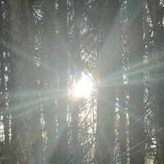 no.1 ☆ [prod. chrxme + turro] 432hz