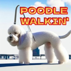 Poodle Walkin'