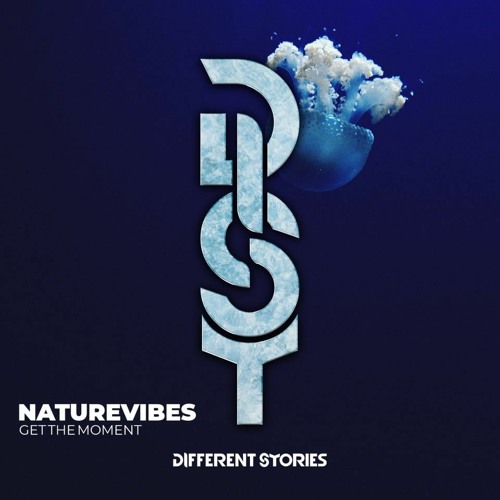 NatureVibes - Get The Moment (preview)