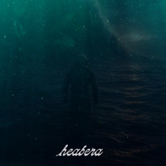 Birds Rewrite Monday