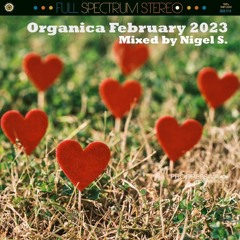 VA - Organica February 2023 - Mixed By Nigel S.