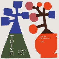 Totem Projects  I Feel