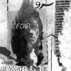 Cedar - سرو