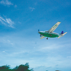 Parachute