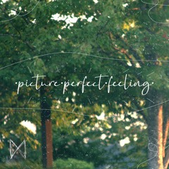 ·picture·perfect·feeling· (feat. lillybug)