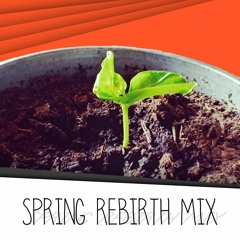 Spring Rebirth Mix