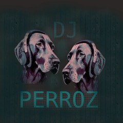 Techno DJ Perroz Set