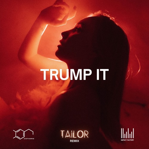 Trump it (TAILOR Remix)