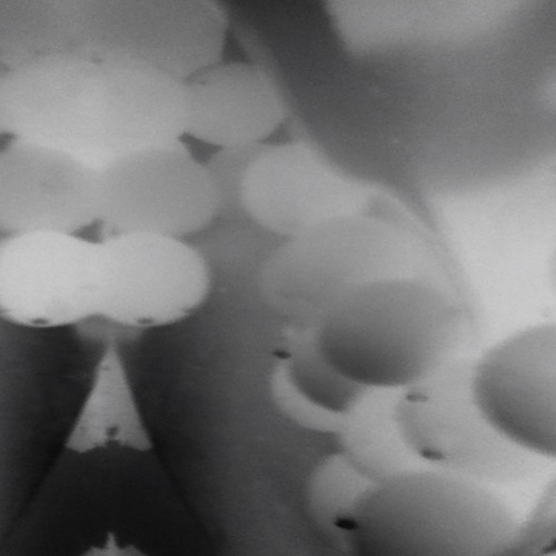 together in clay prod me